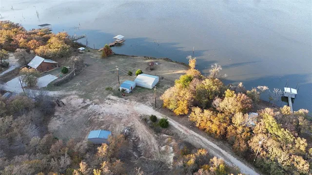 a close up of a flower in a garden