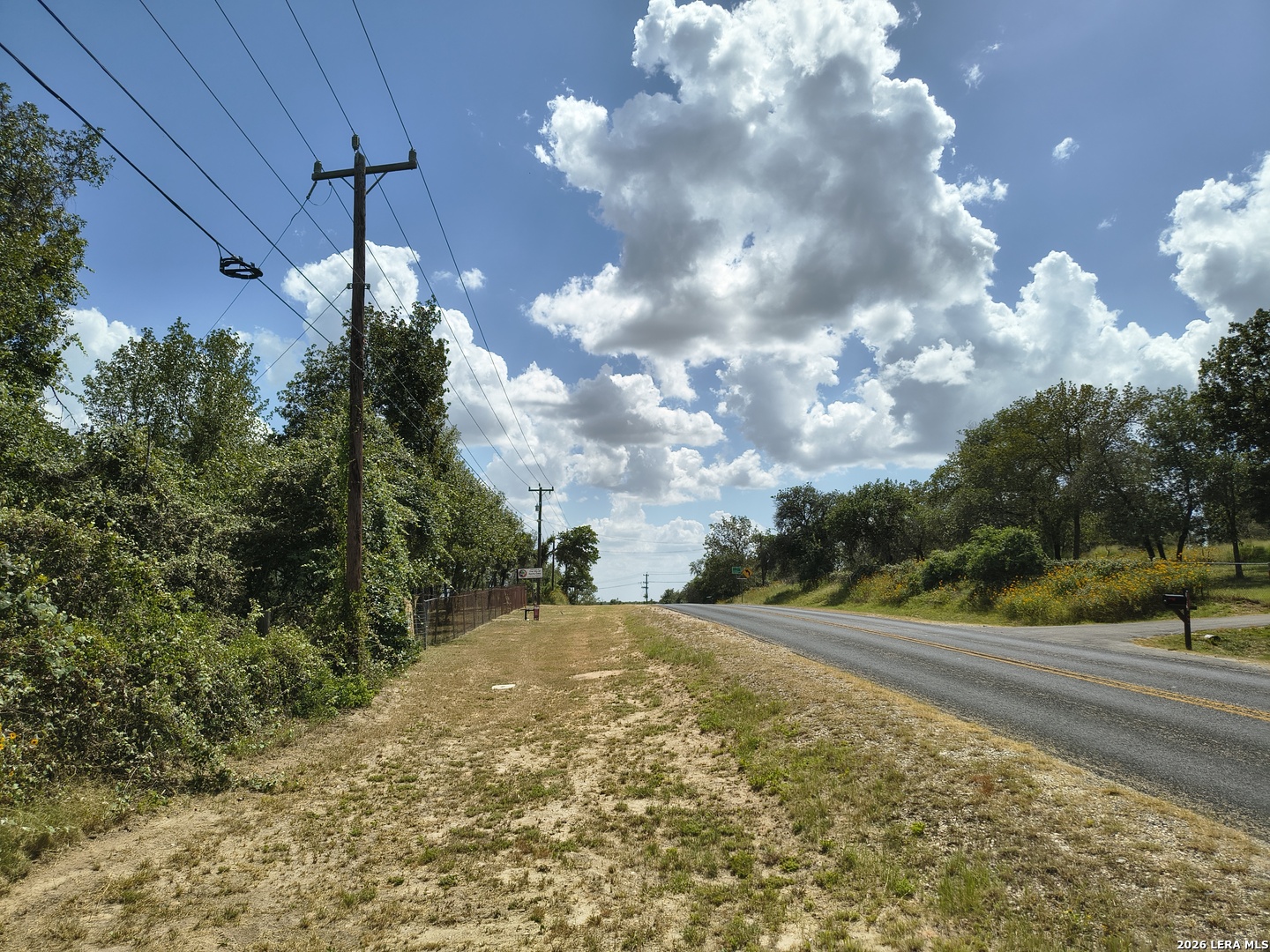 0 Priest Road Elmendorf, TX 78112 - Photo 6 of 7
