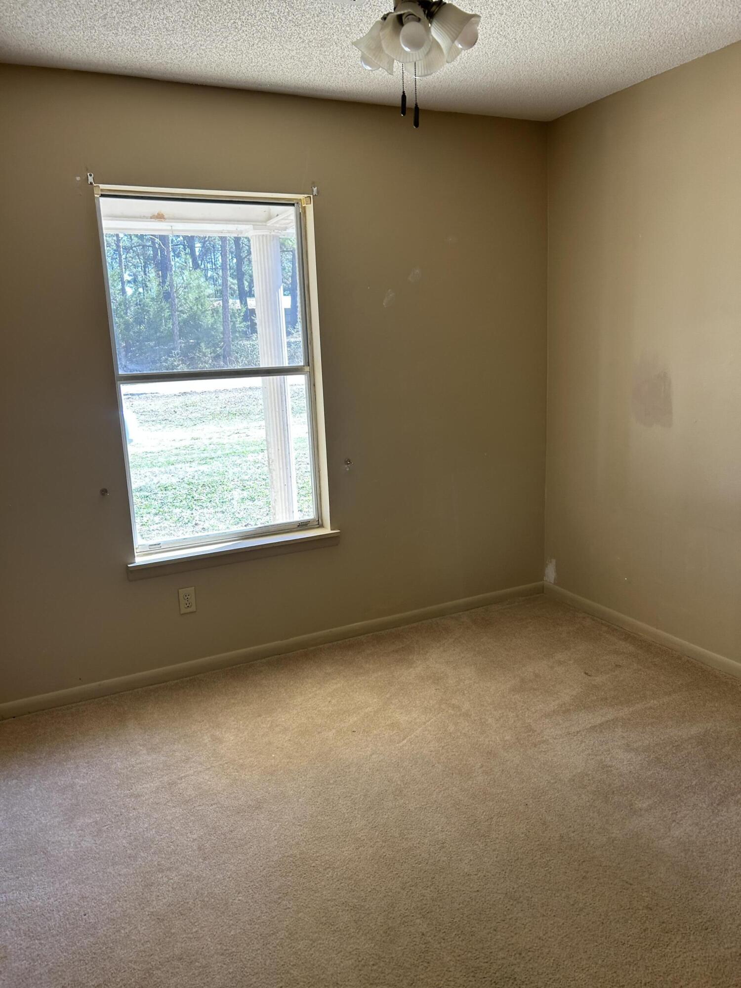 2432 Hardy Skipper Road Ponce de Leon, FL 32455 - Photo 10 of 21 IMG_0997