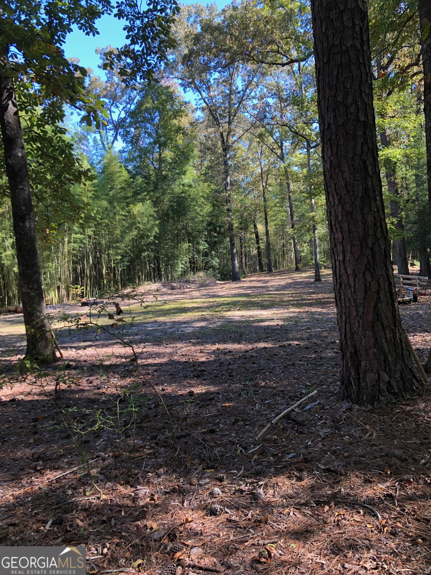 215 Webb Street Warner Robins, GA 31093 - Photo 2 of 6