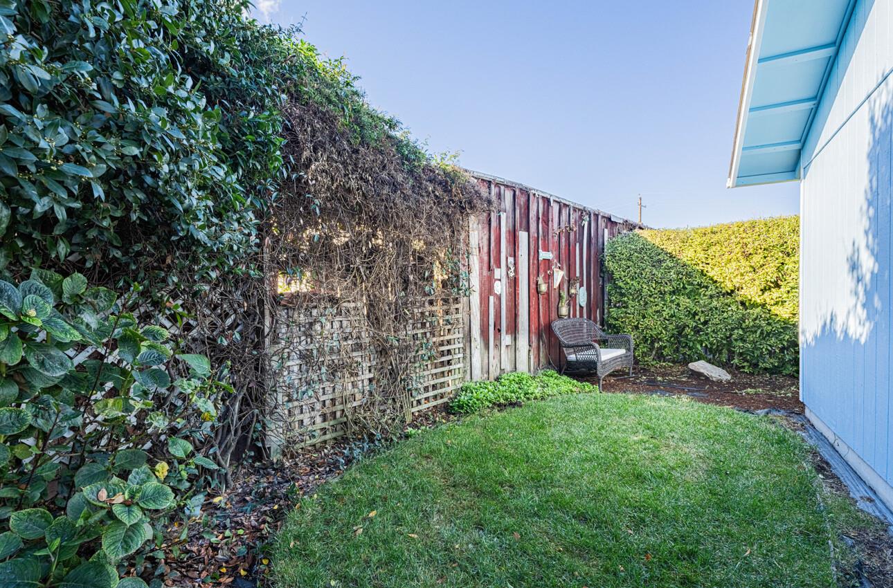 332 Capitol Street Salinas, CA 93901 - Photo 40 of 41 a view of a backyard with plants and large trees