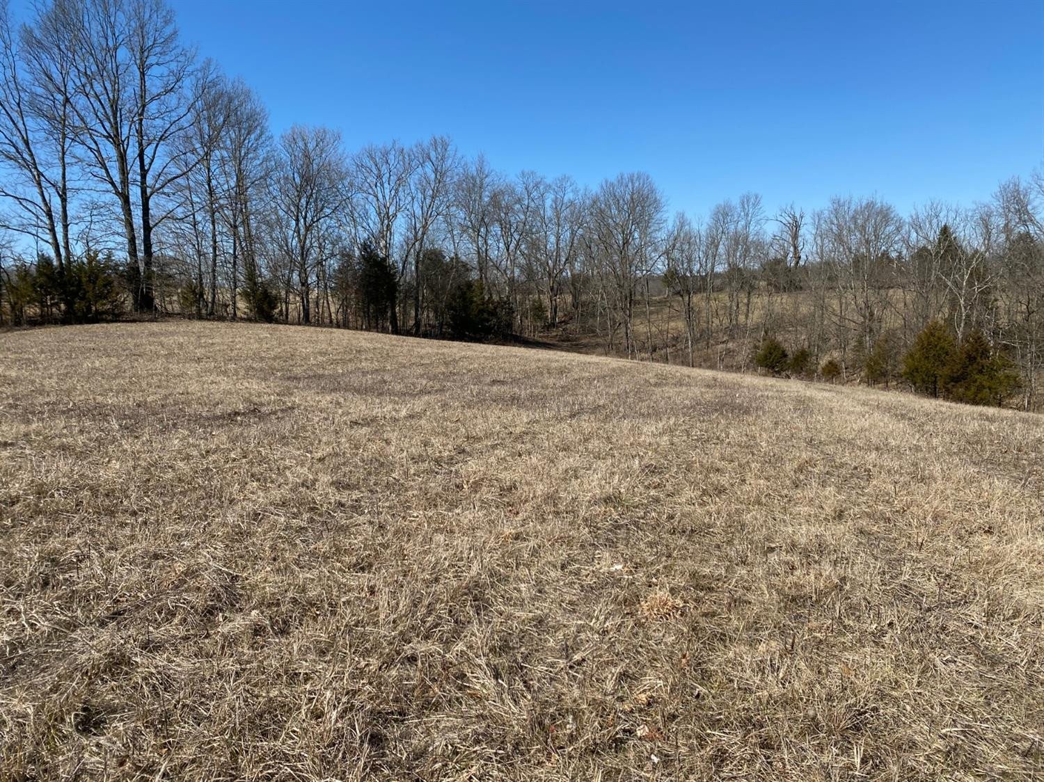 0 Denny Road Corinth, KY 41010 - Photo 13 of 18 Photo 13