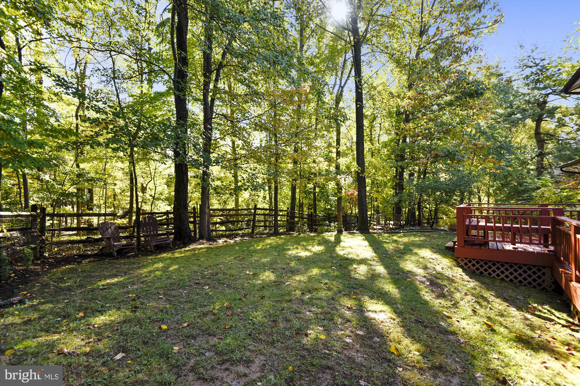 12 Scotch Mist Court Potomac, MD 20854 - Photo 14 of 50 Private and treed