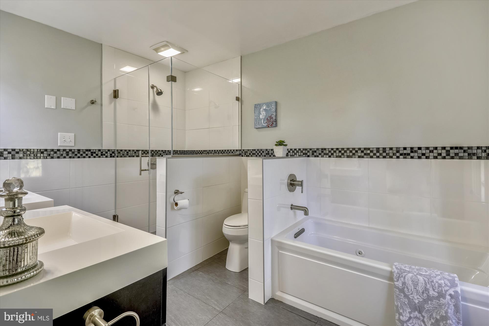 12 Scotch Mist Court Potomac, MD 20854 - Photo 26 of 50 Separate shower and tub