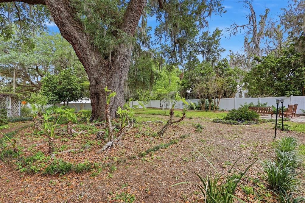 6070 Ave F McIntosh, FL 32664 - Photo 33 of 45