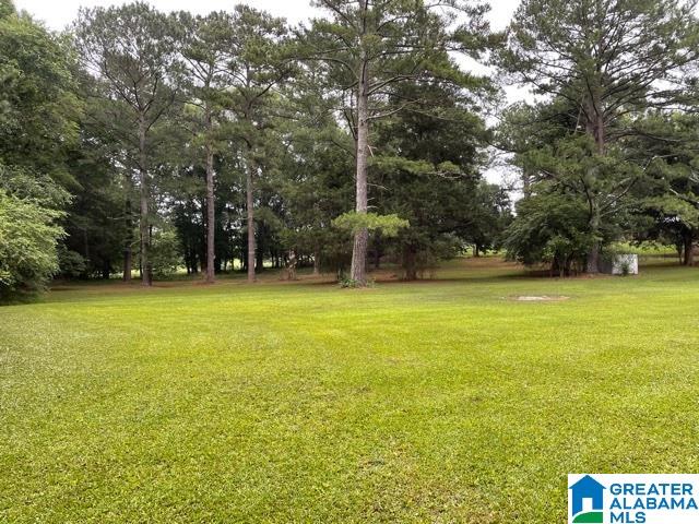 856 Oak Grove Road Munford, AL 36268 - Photo 39 of 42 Gallery Image 39