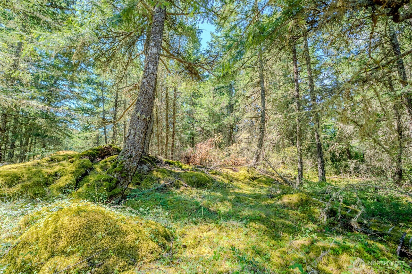 678 Swan Road Orcas Island, WA 98245 - Photo 24 of 39