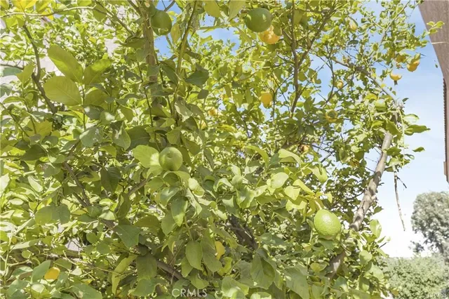 $629,000 | 1141 VÃa Antibes, Redlands, CA 92374