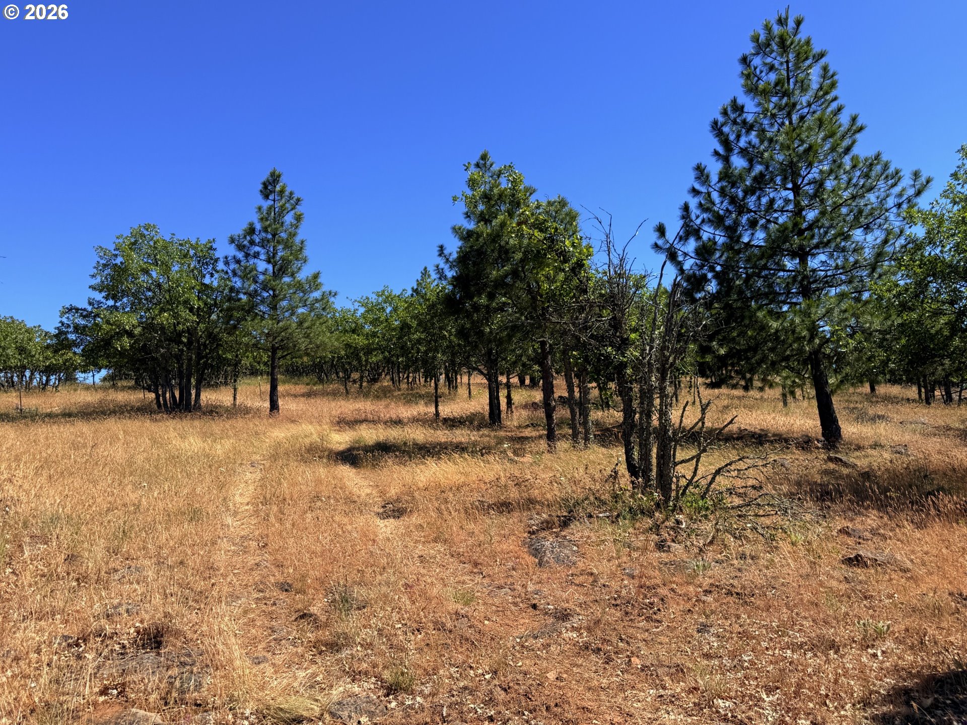 238 Chisholm Road Goldendale, WA 98620 - Photo 27 of 42