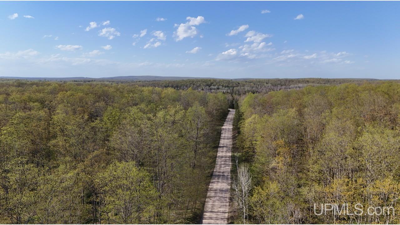 Tbd County Line Road Hermansville, MI 49847 - Photo 7 of 20