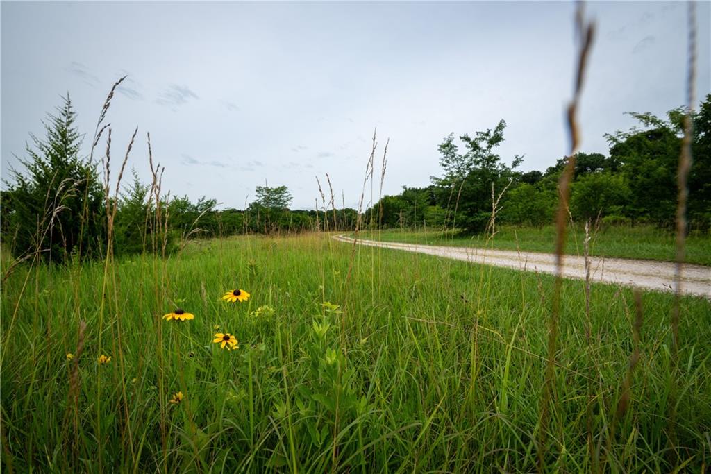 34664 Spring Valley Road Paola, KS 66071 - Photo 13 of 82 Gallery Image 13