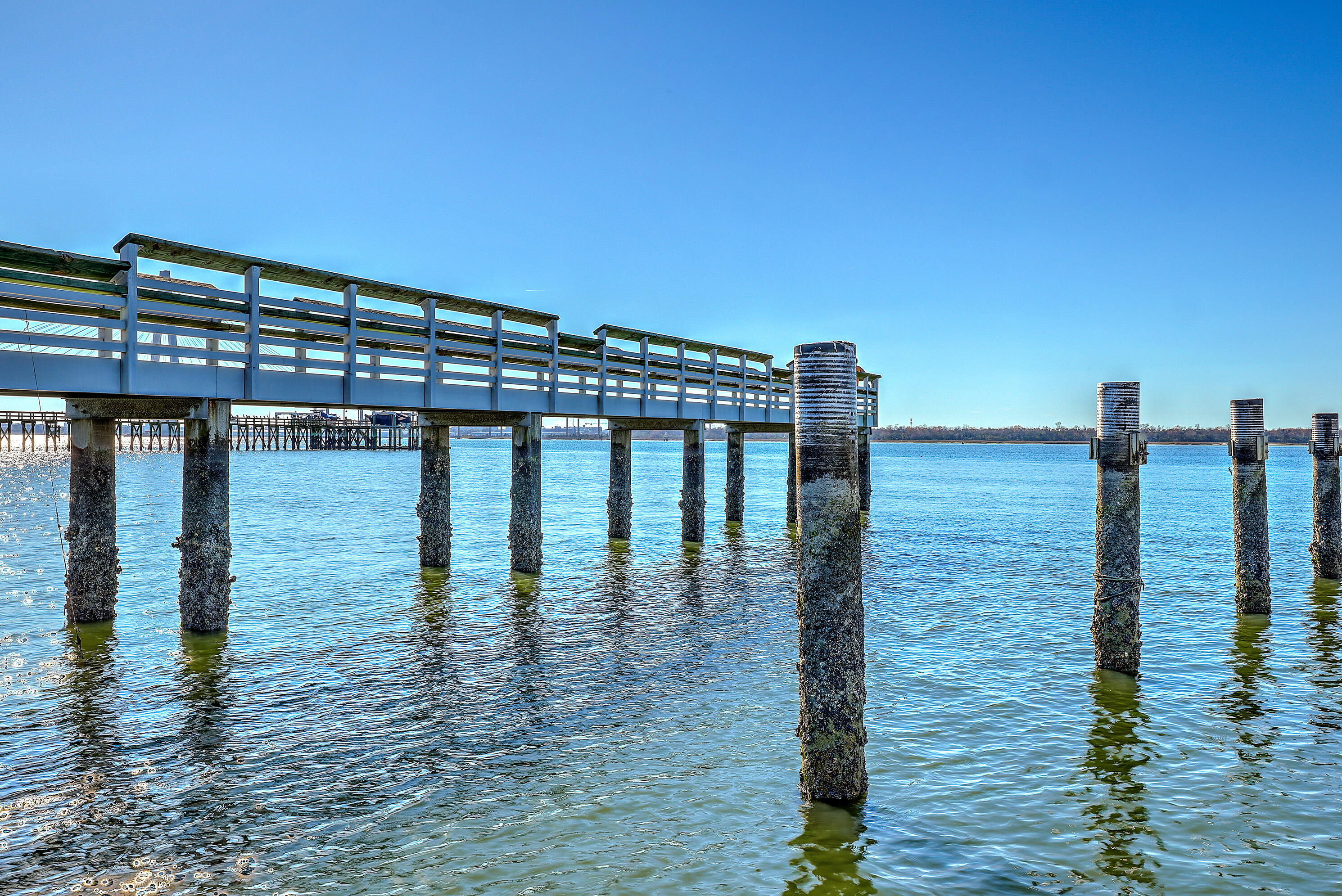 386 5th Avenue Mount Pleasant, SC 29464 - Photo 19 of 36 ZYN_9899_900_901_902_903_904_905