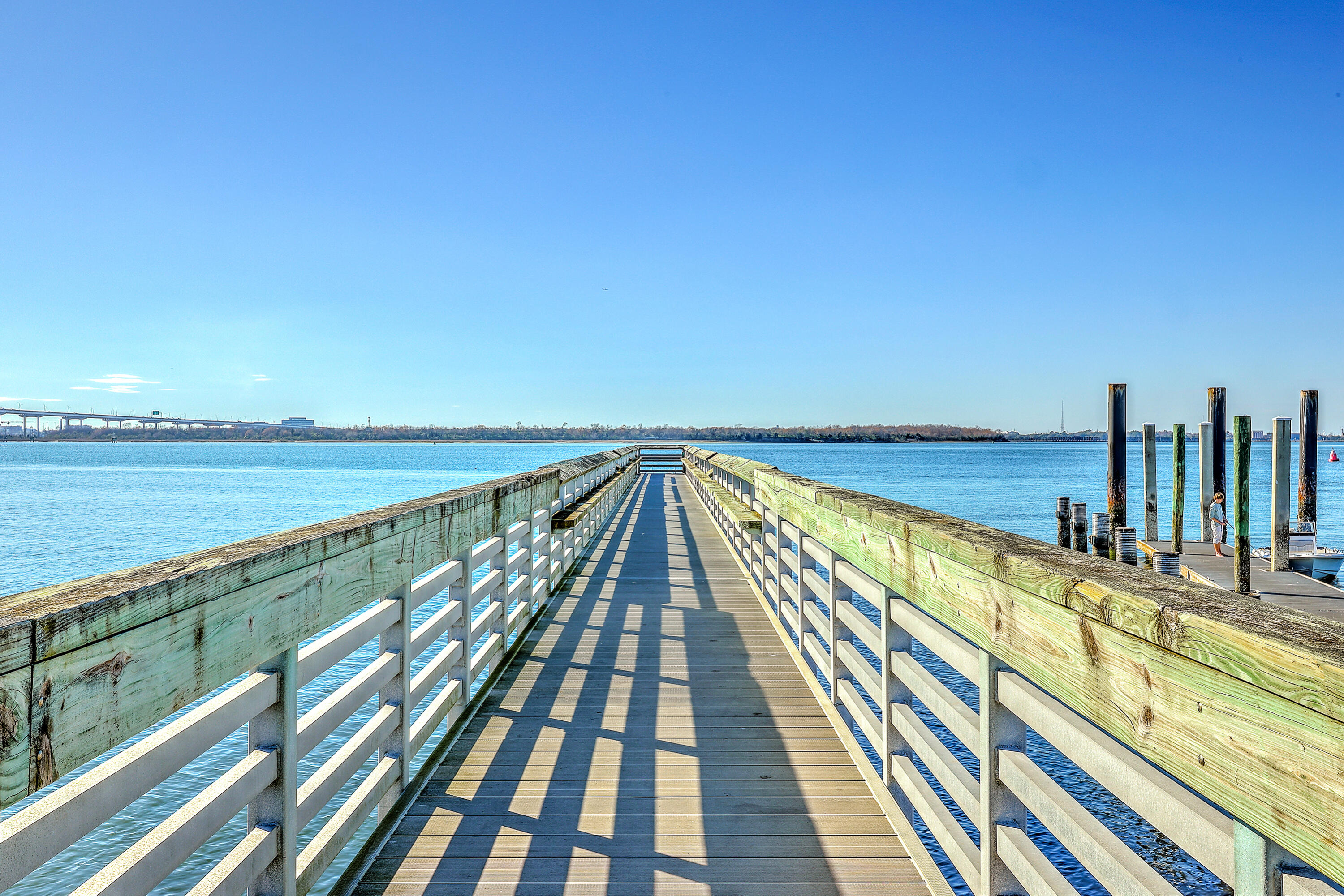 386 5th Avenue Mount Pleasant, SC 29464 - Photo 24 of 36 ZYN_9906_07_08_09_10_11_12