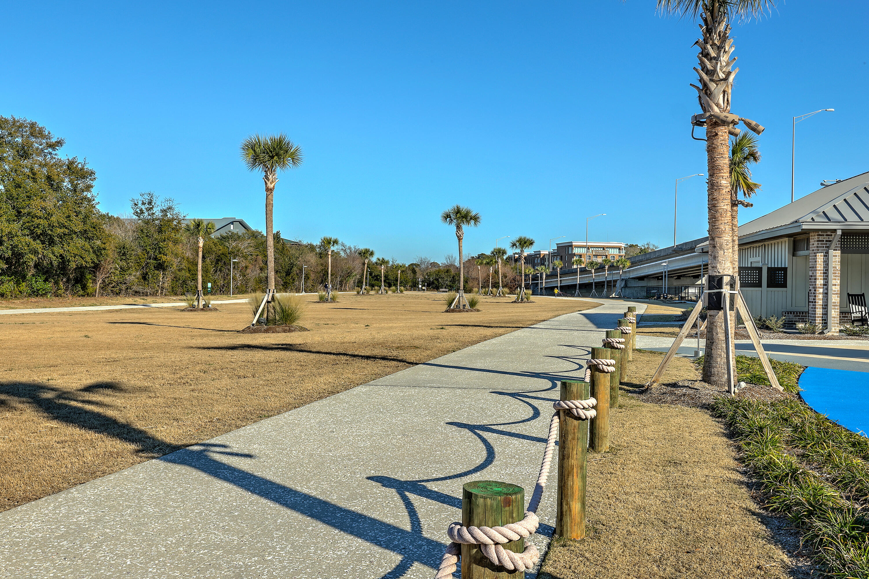 386 5th Avenue Mount Pleasant, SC 29464 - Photo 33 of 36 ZYN_9962_3_4_5_6_7_8