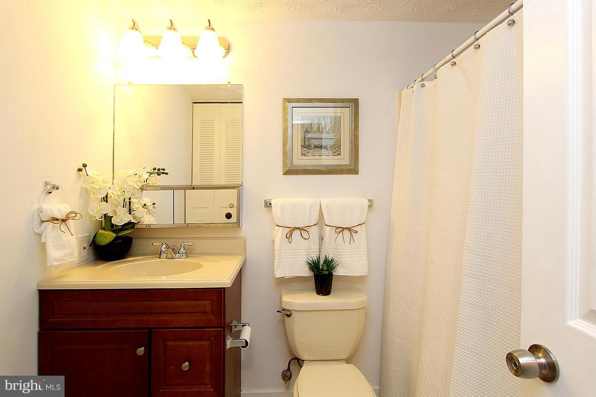106 E Road Mount Airy, MD 21771 - Photo 15 of 22 Bath