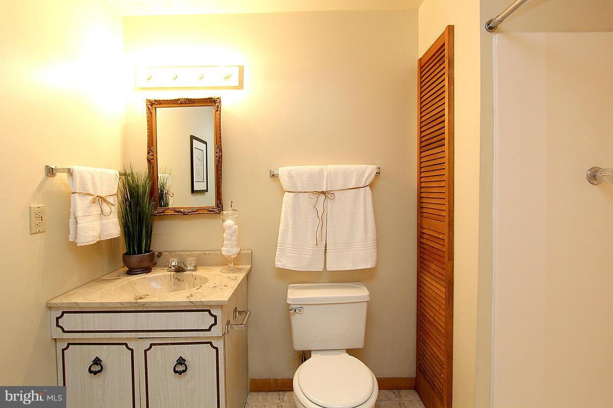 106 E Road Mount Airy, MD 21771 - Photo 19 of 22 Bath