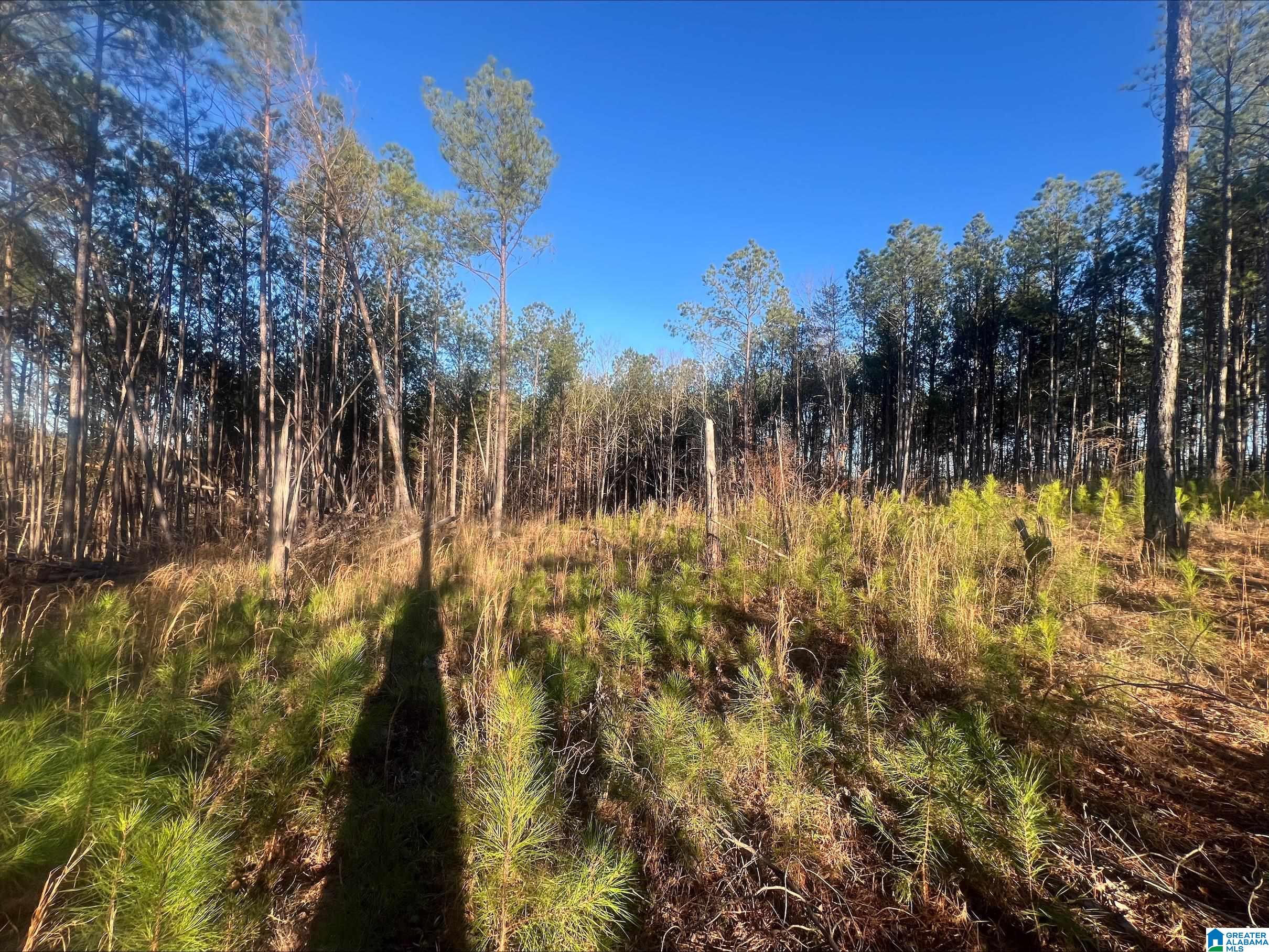 Lot 2 Crisstown Road, Unit LOT 2 McCalla, AL 35111 - Photo 3 of 3 Gallery Image 3