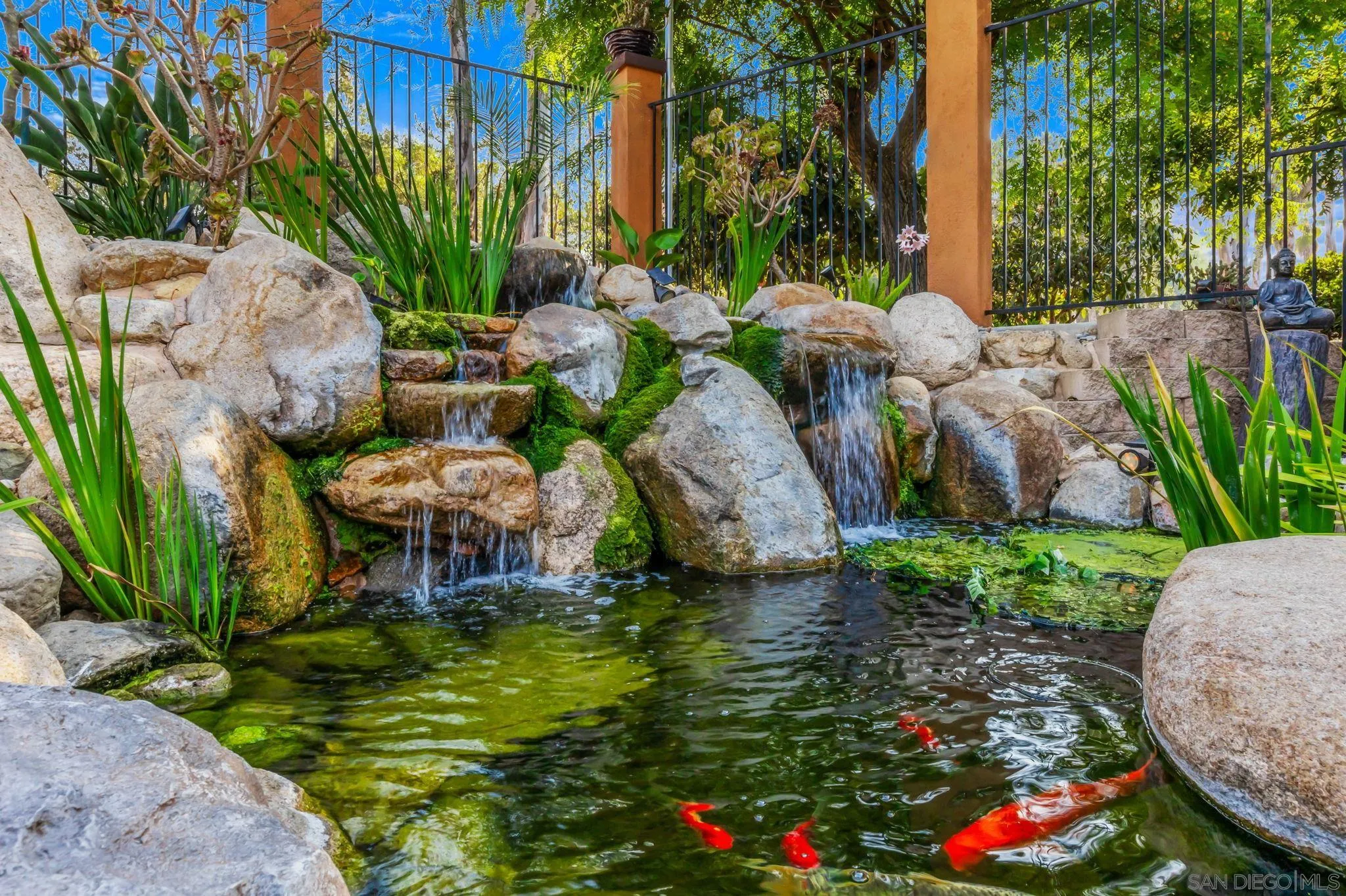 2260 East Mission Road Fallbrook, CA 92028 - Photo 4 of 38 a view of a backyard with plants and fountain