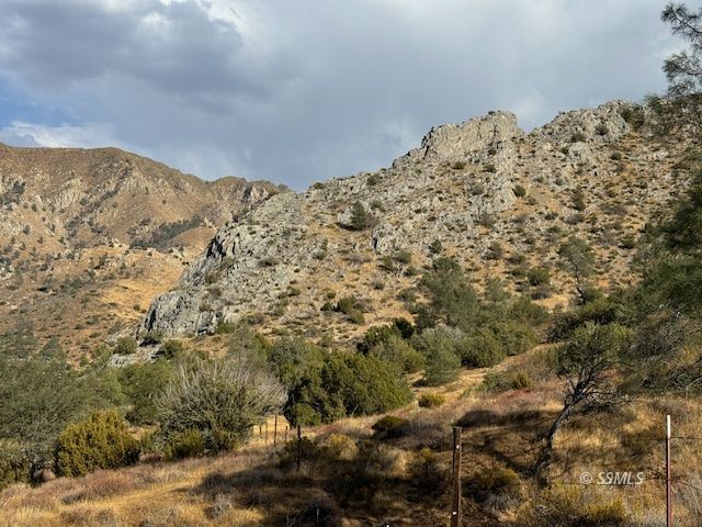 Tice Rd Lake Mountain Mesa, CA 93240 - Photo 11 of 18