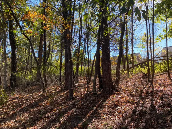 a view of outdoor space with lots of trees