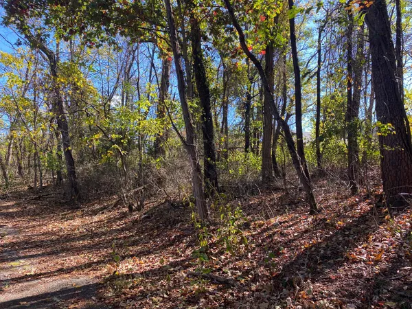 a view of dirt yard