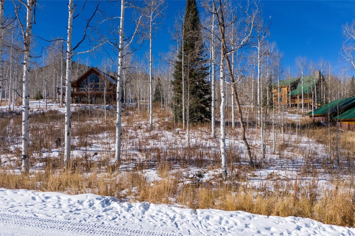 58055 Jupiter Place Clark, CO 80428 - Photo 3 of 11 a view of a house with a yard