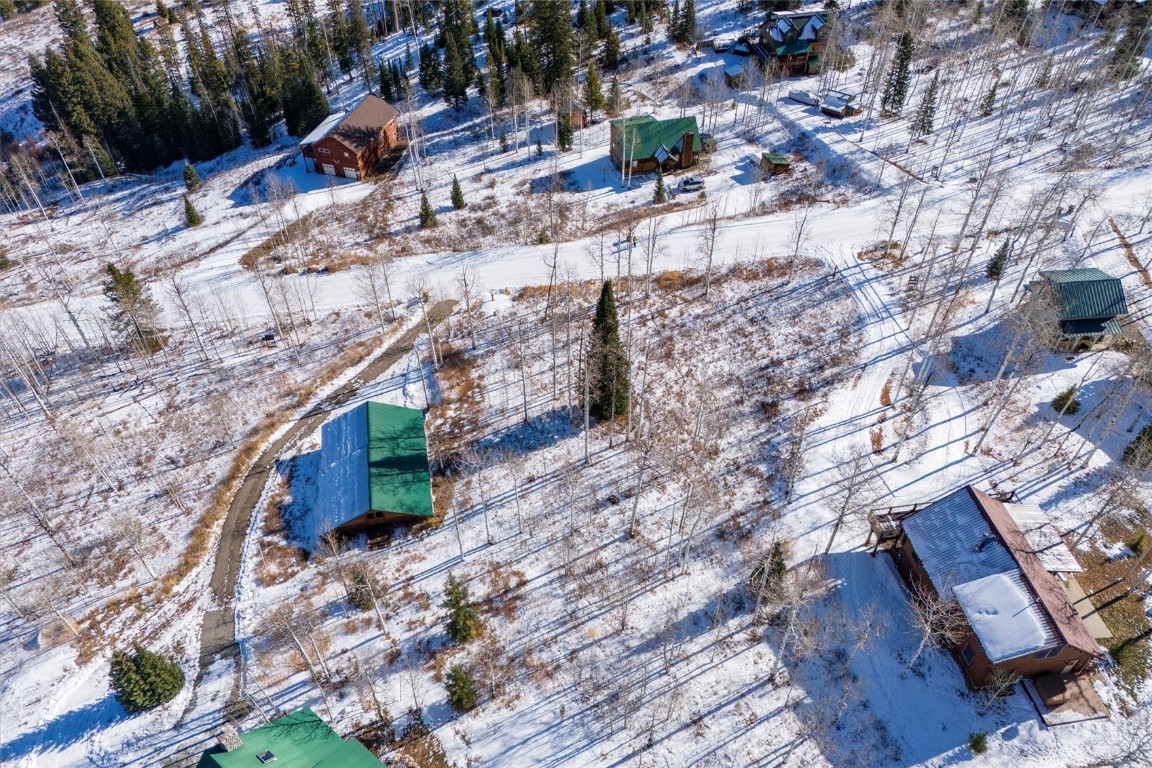 58055 Jupiter Place Clark, CO 80428 - Photo 6 of 11 a backyard of a house with lots of green space