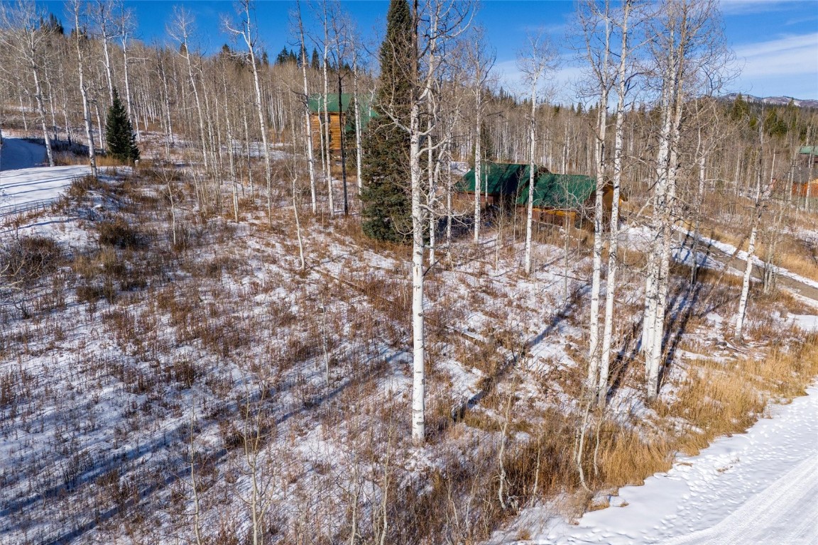 58055 Jupiter Place Clark, CO 80428 - Photo 7 of 11 a view of a backyard with wooden fence