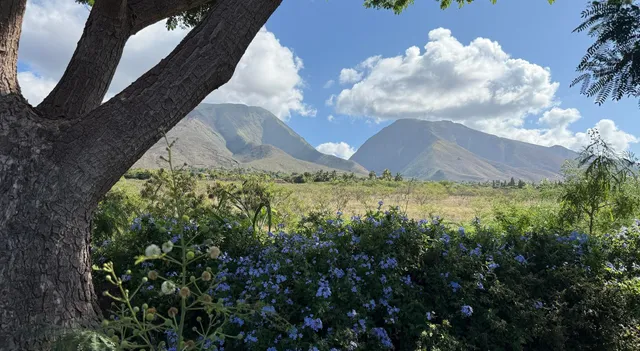 $2,695,000 | 311 Haniu Street, Unit 7A, Lahaina, HI 96761