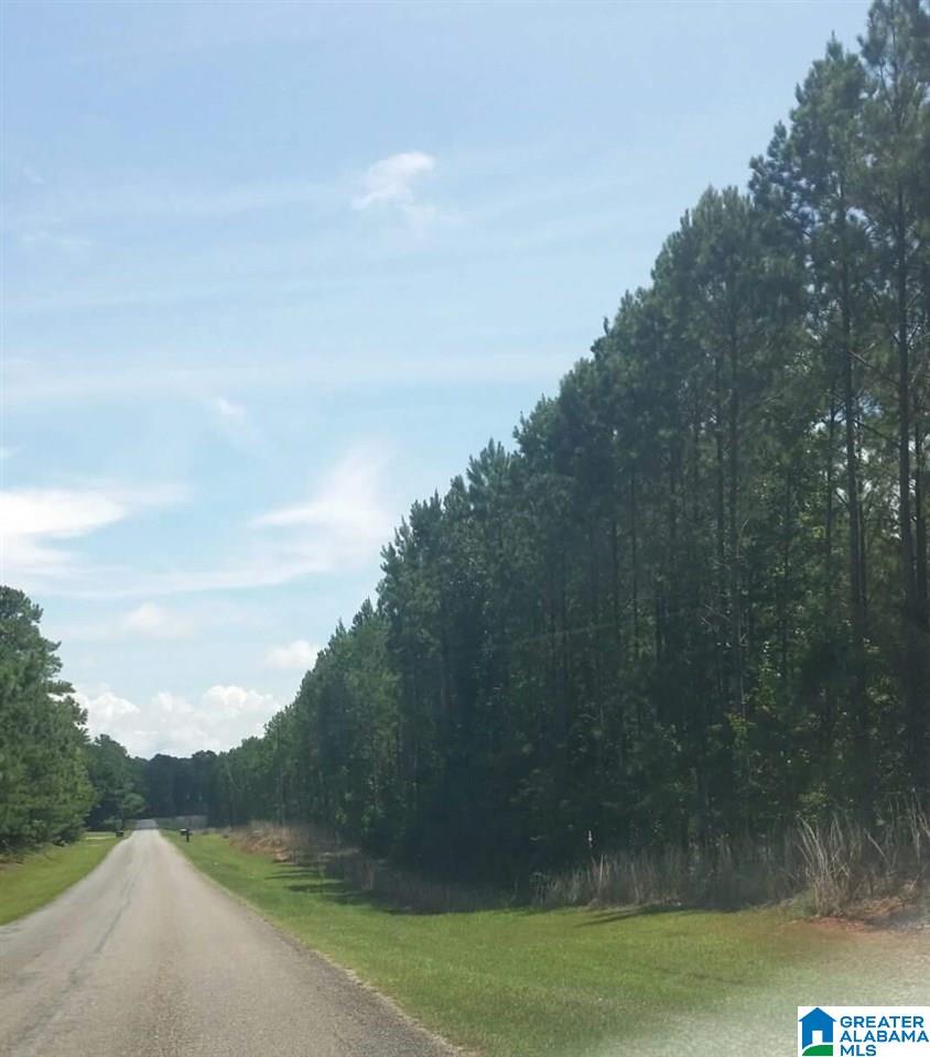 Country Club Road, Unit 7 Roanoke, AL 36274 - Photo 3 of 4