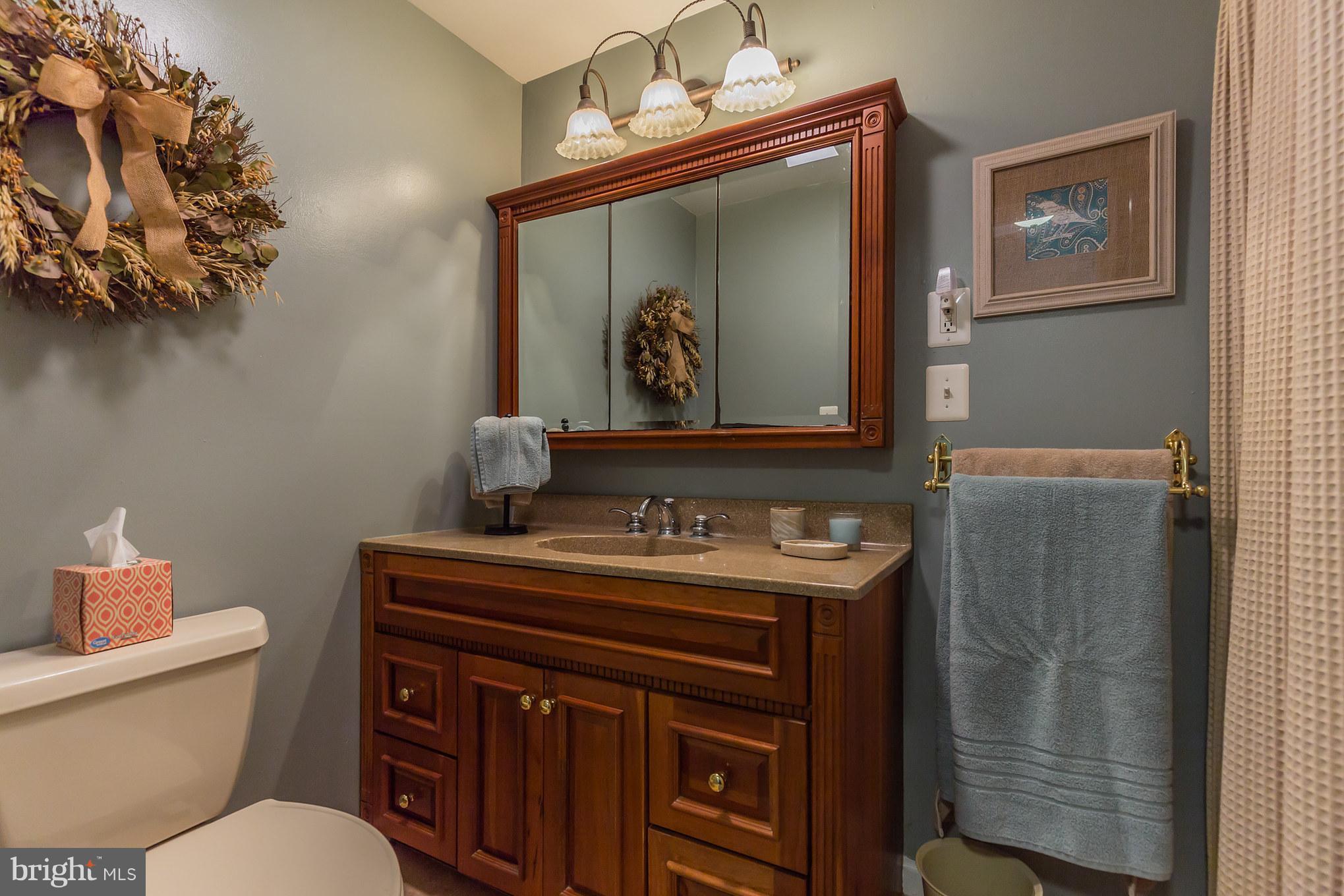 5834 Bayside Road St. Leonard, MD 20685 - Photo 22 of 30 Bath (Master)