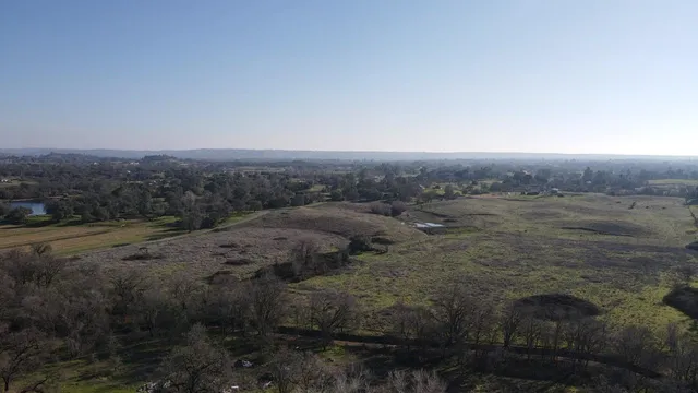 a view of a dry yard with trees