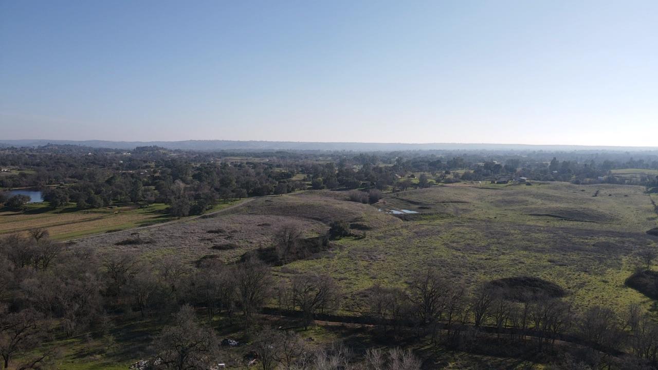 a view of a dry yard with trees