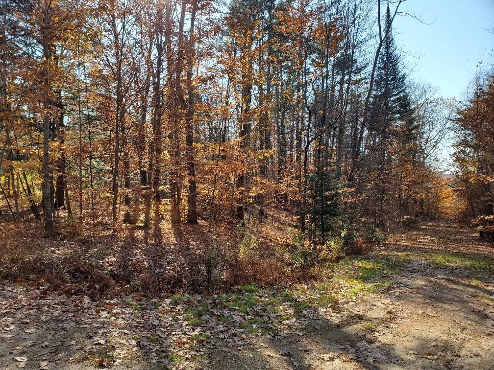 0 Keyser Road Center Harbor, NH 03226 - Photo 4 of 11 Gallery Image 4