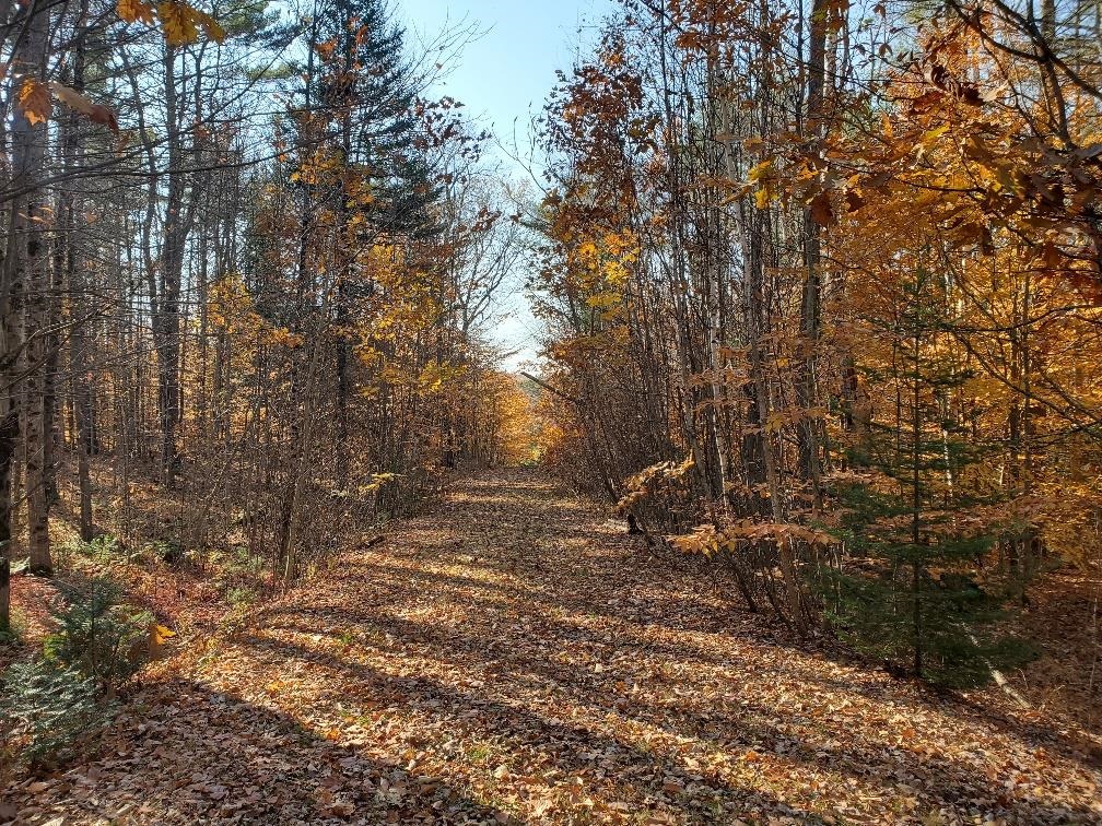 0 Keyser Road Center Harbor, NH 03226 - Photo 5 of 11 Gallery Image 5