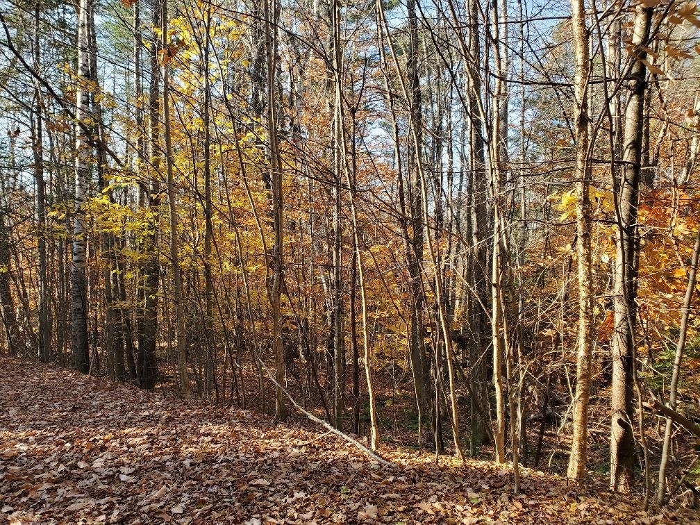 0 Keyser Road Center Harbor, NH 03226 - Photo 7 of 11 Gallery Image 7