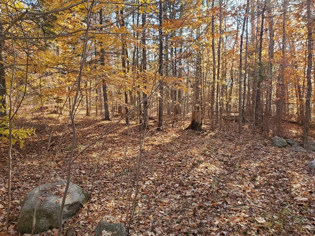 0 Keyser Road Center Harbor, NH 03226 - Photo 8 of 11 Gallery Image 8