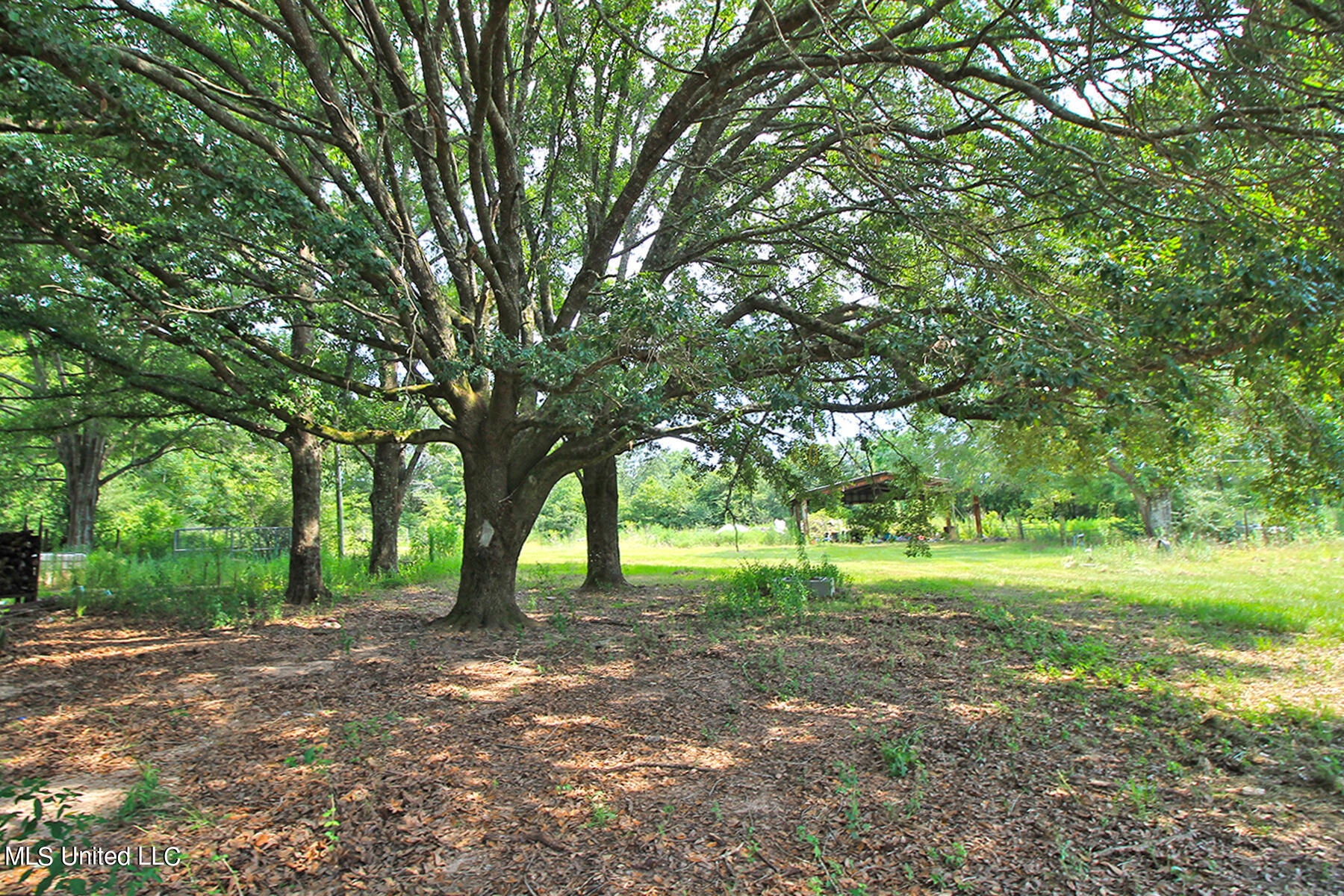 155 Glen Vincent Road Lucedale, MS 39452 - Photo 15 of 17 3 (2)