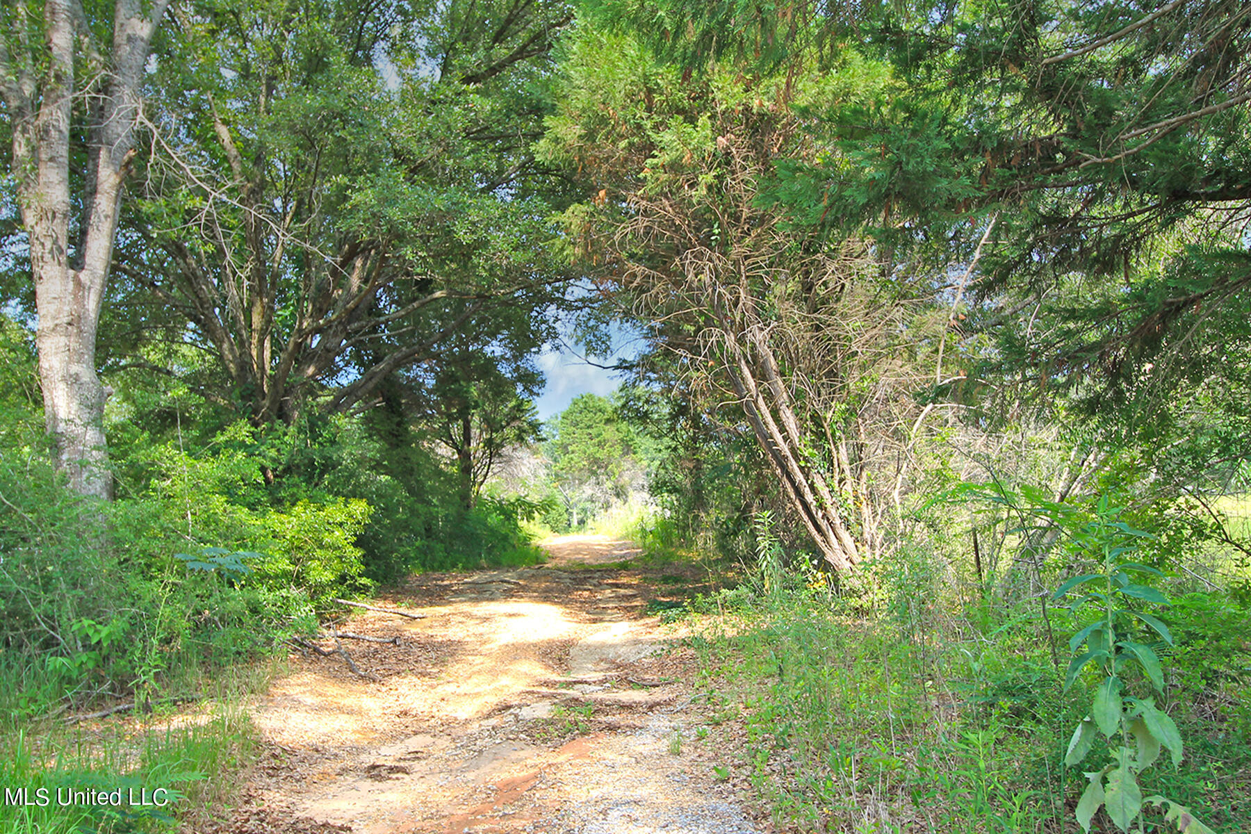 155 Glen Vincent Road Lucedale, MS 39452 - Photo 17 of 17 4