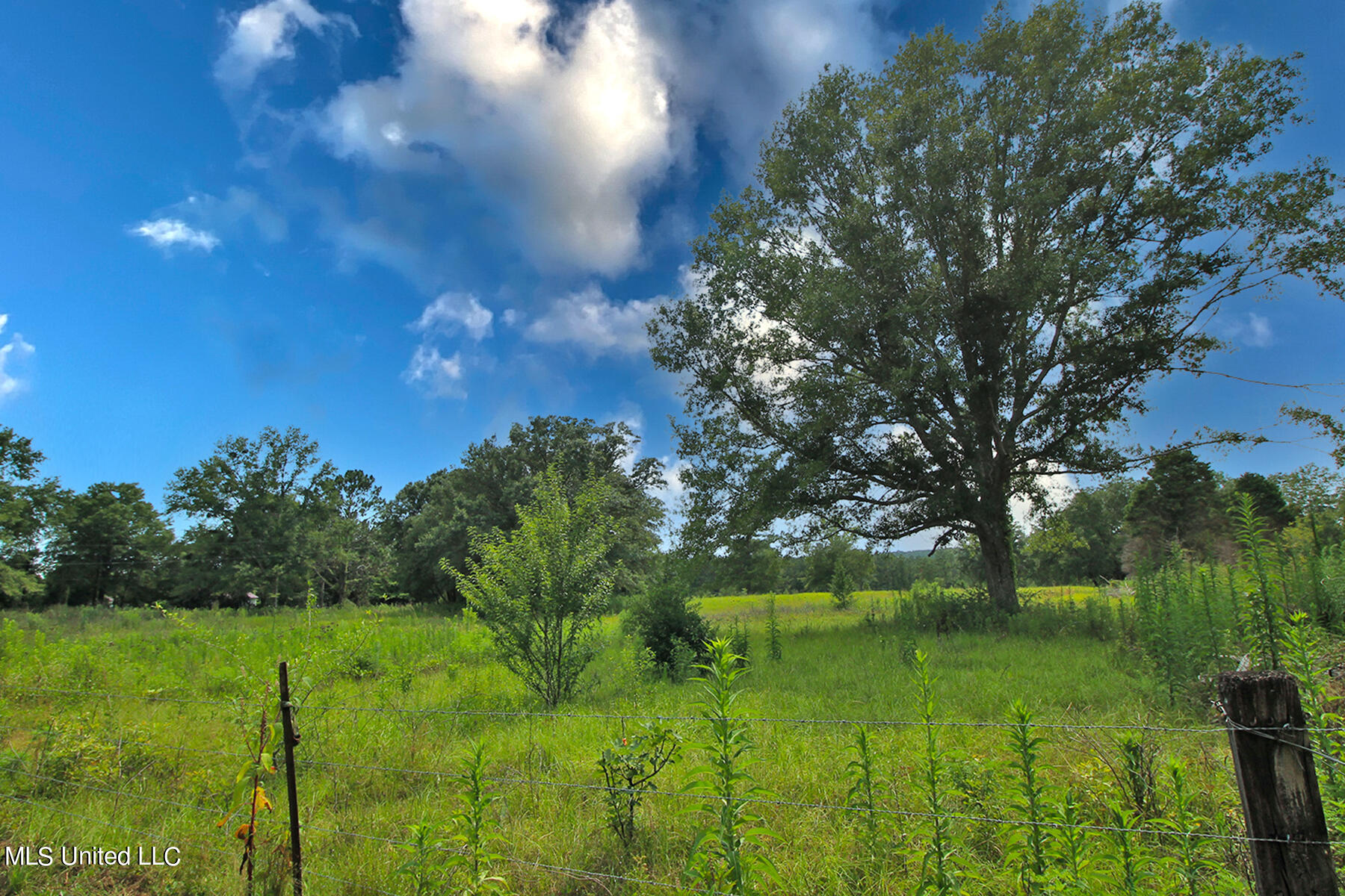 155 Glen Vincent Road Lucedale, MS 39452 - Photo 4 of 17 1 (4)