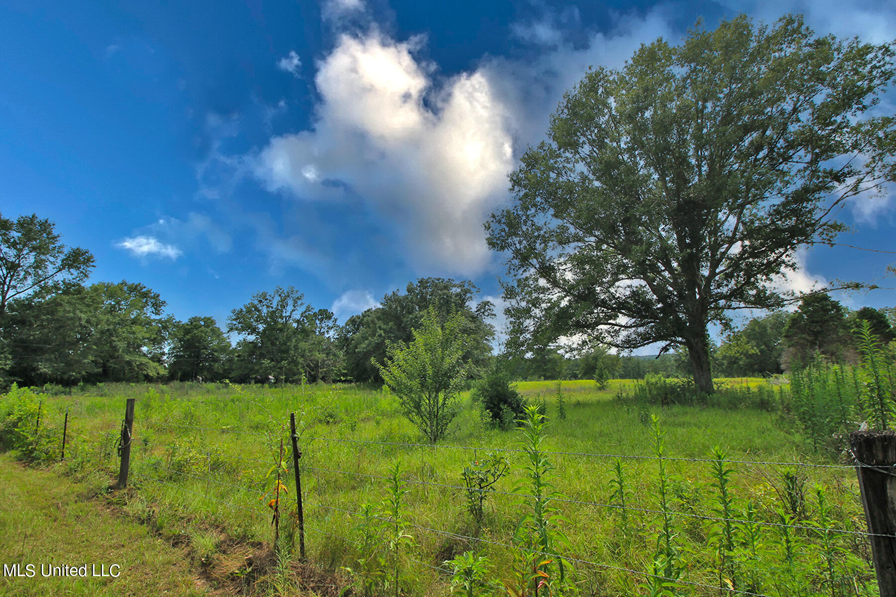 155 Glen Vincent Road Lucedale, MS 39452 - Photo 5 of 17 1 (5)