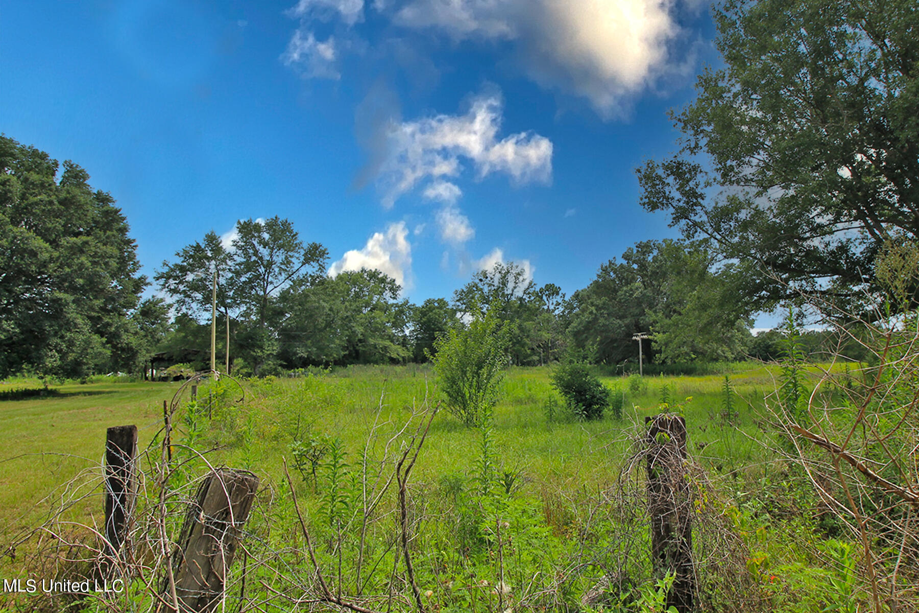 155 Glen Vincent Road Lucedale, MS 39452 - Photo 6 of 17 1 (6)