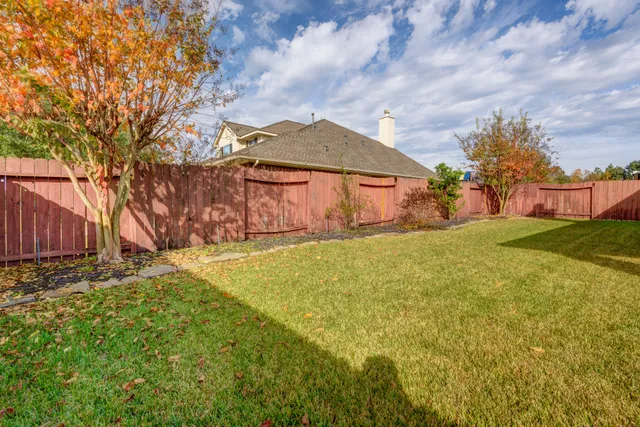 a view of a backyard with a large tree