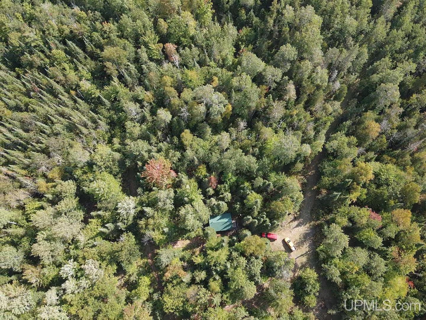 Mcconnel Road Curtis, MI 49820 - Photo 7 of 45 Gallery Image 7