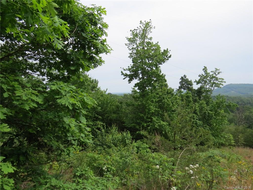 450 Fox Mountain Road, Unit 4 5 Hiddenite, NC 28636 - Photo 22 of 24 Gallery Image 22