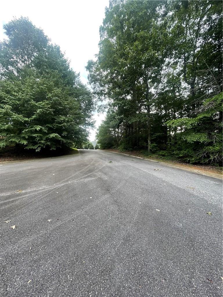 0 Fairway Ridge Lane Hickory, NC 28601 - Photo 5 of 5