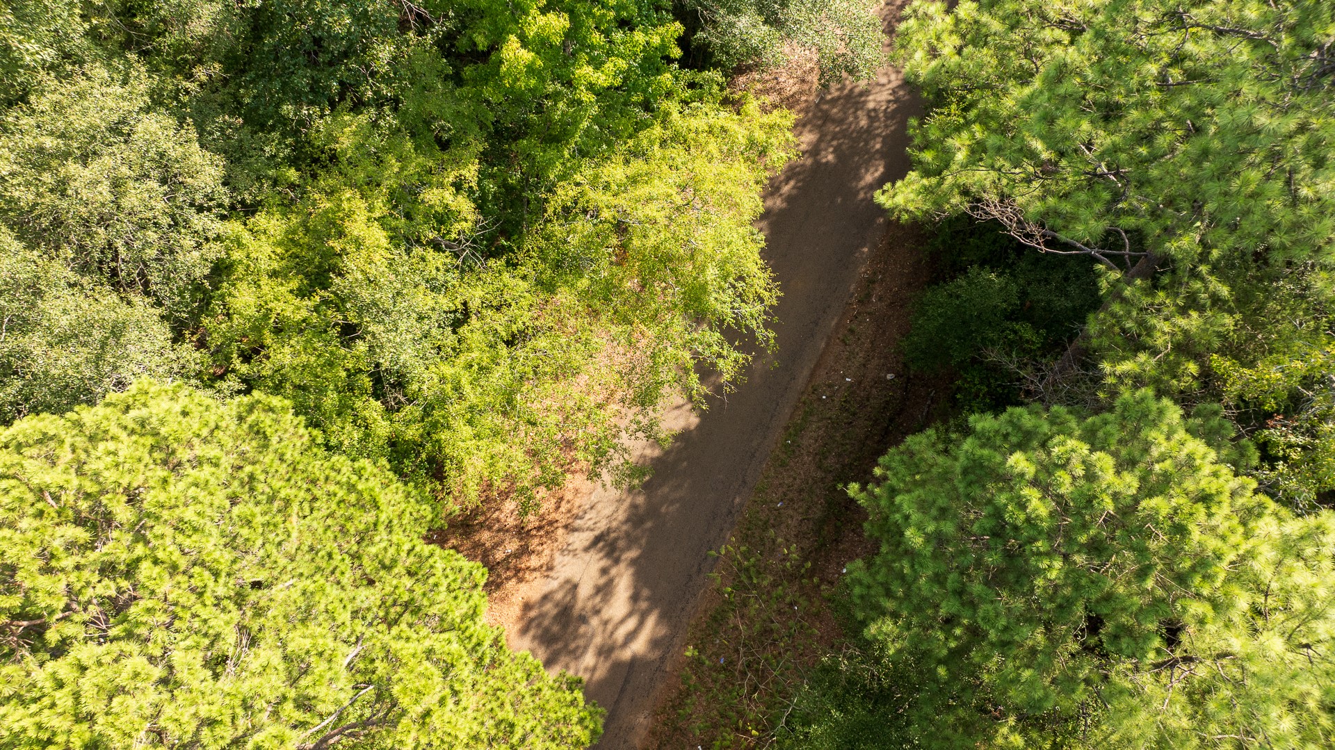 Tbd Tbd Fm-343 Rusk, TX 75785 - Photo 22 of 23 Gallery Image 22