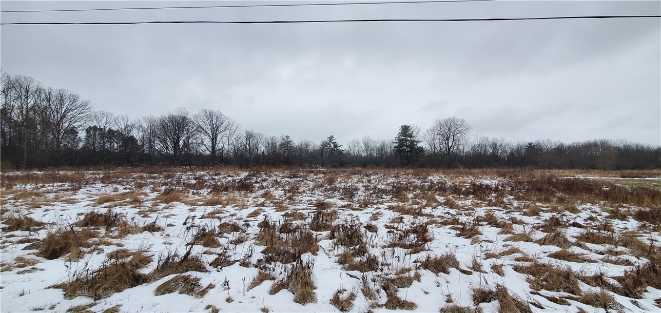 0 State Route 34 Genoa, NY 13071 - Photo 2 of 3