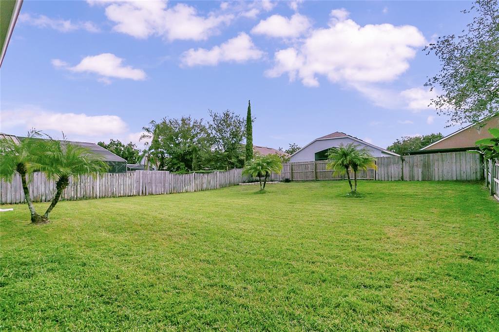 223 Tavestock Loop Winter Springs, FL 32708 - Photo 22 of 27 a fire hydrant in the middle of a field
