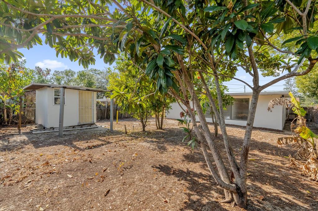 923 Ferndell Road Orlando, FL 32808 - Photo 41 of 42 a view of a yard with a house and a tree